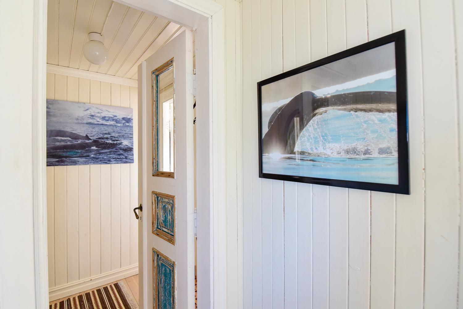 Kongsfjord Arctic Lodge 外观 照片